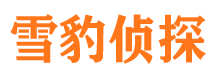 港闸市侦探调查公司